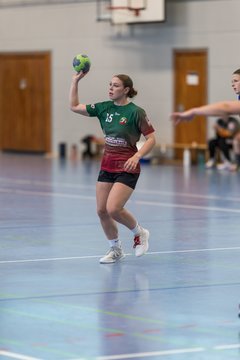 Bild 253 - F HSG Kremperheide/Muensterdorf - HSG Holstein Kiel/Kronshagen : Ergebnis: 31:26
